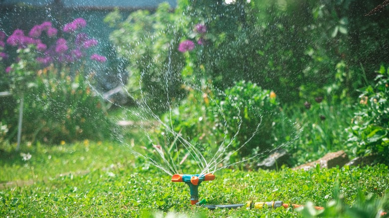 Garden mister or sprinkler