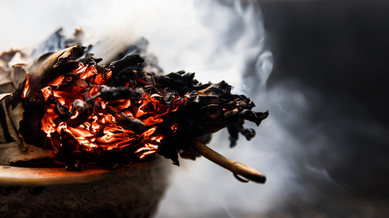 burning sage leaves