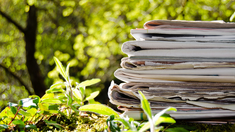 stack of newspapers in a garden