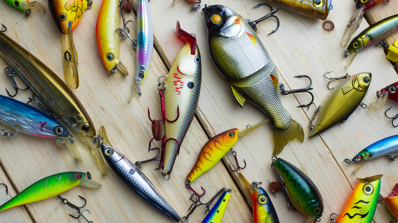 assorted fishing lures