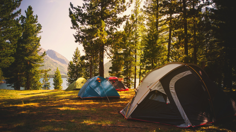 Tidy campsite at sunrise