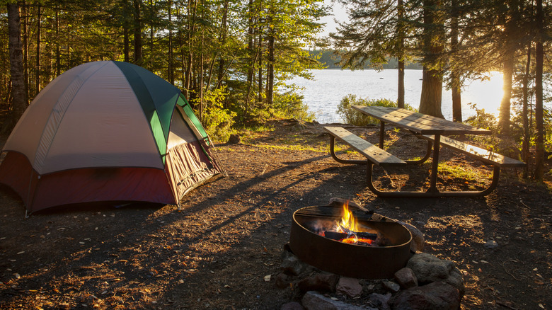 Campsite in a woods beside water