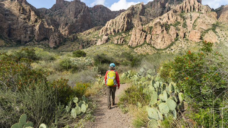 Senior woman hiking in Texas
