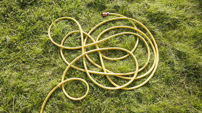 Yellow garden hose in the grass