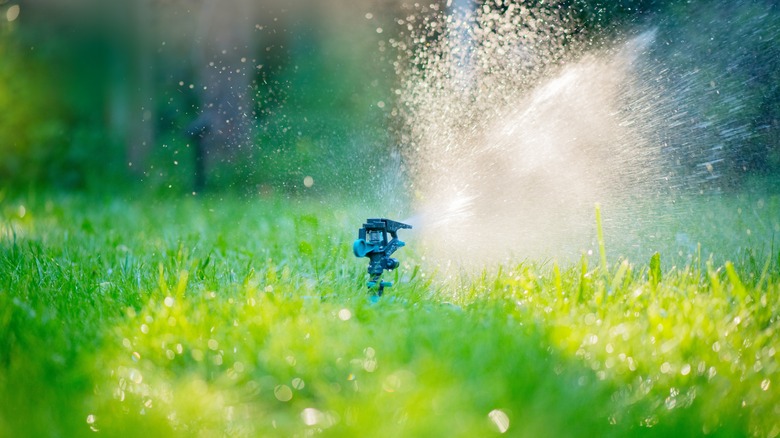 Sprinkler watering lawn