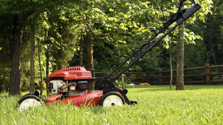 Red lawnmower in the grass 