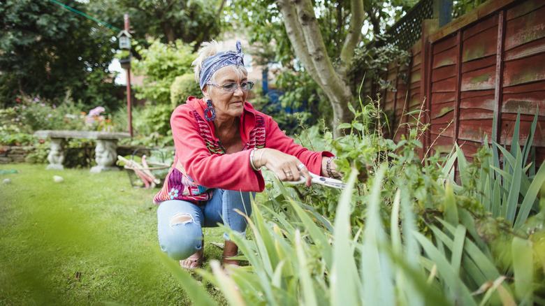 Older woman looking after her garden