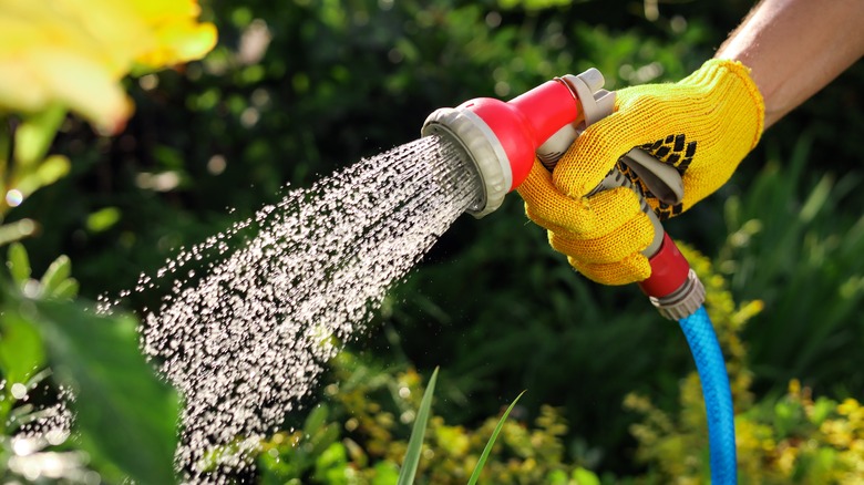 Person watering plants with nozzle and hose
