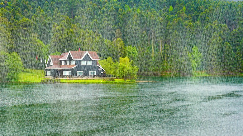 Lakehouse by forest on a rainy day