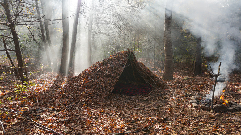 Survivalist camp in woods on cloudy day