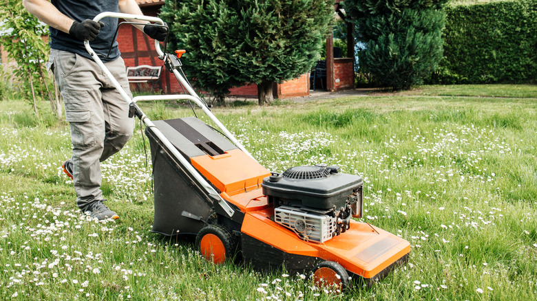 Man mowing lawn