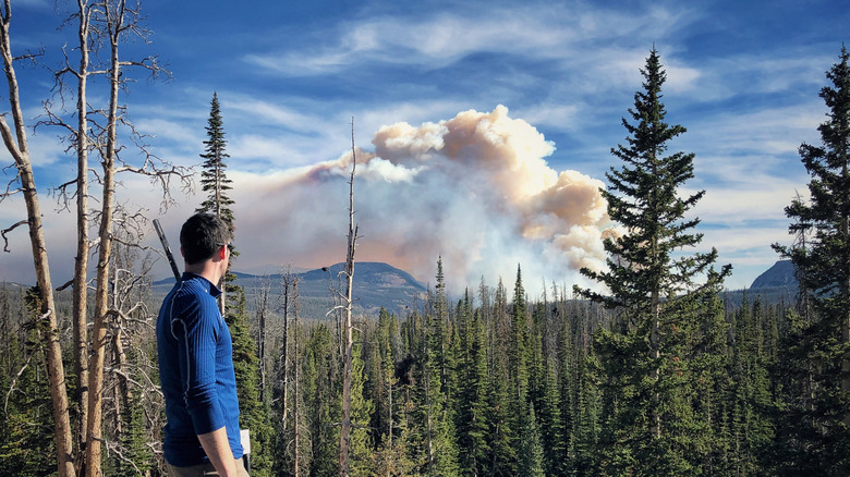 Hiker looking out at a forest fire