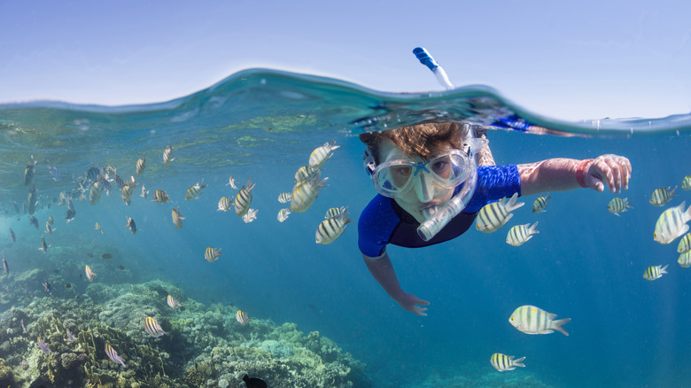Child snorkeling past coral reef and fish