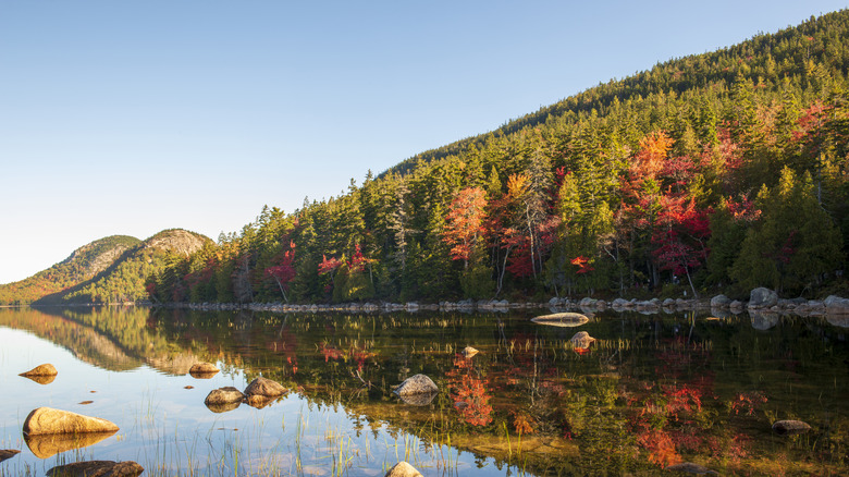 Fall foliage at Acadia National Park