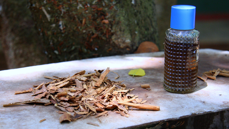 Cinnamon oil in a bottle outside, next to bits of cinnamon