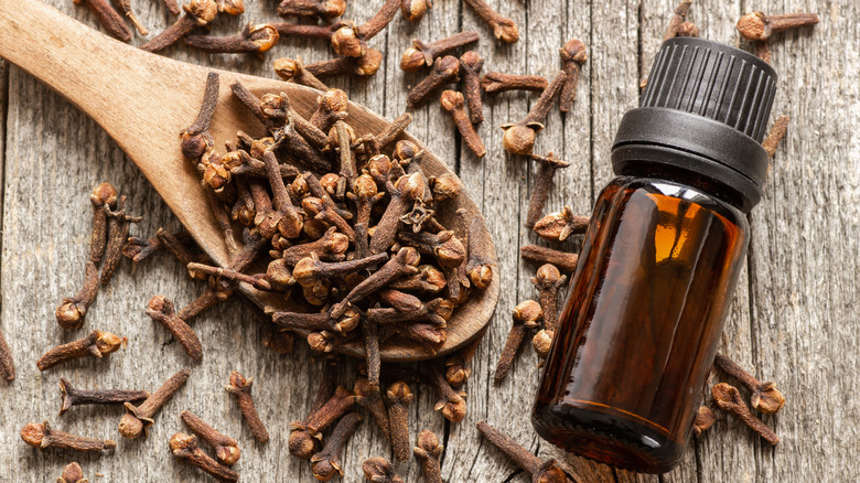 Cloves sprinkled on a wooden spoon and on a wooden table with a dark oil bottle on the side