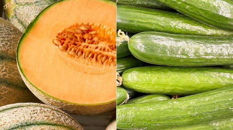 Side-by-side of cucumbers and melons