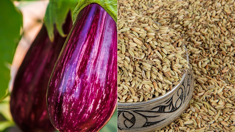 Side-by-side of eggplant and fennel
