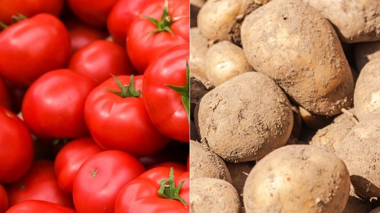 Side-by-side of tomatoes and potatoes