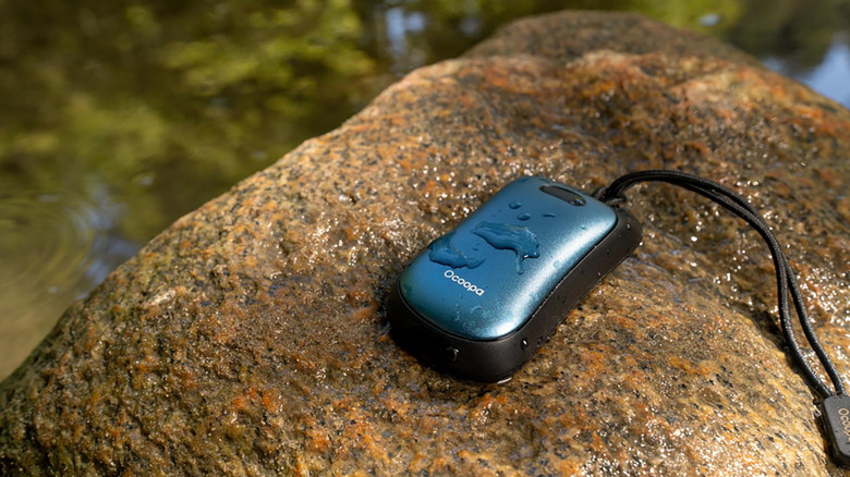 Water-resistant hand warmer on wet rock