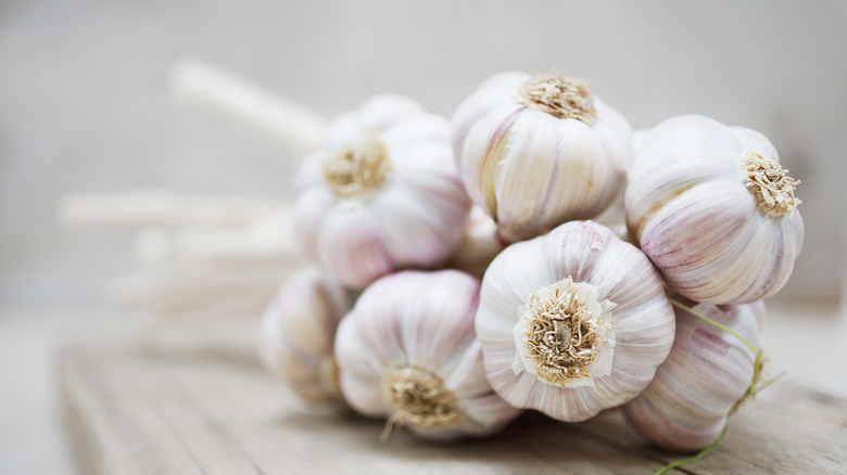 a bunch of white garlic
