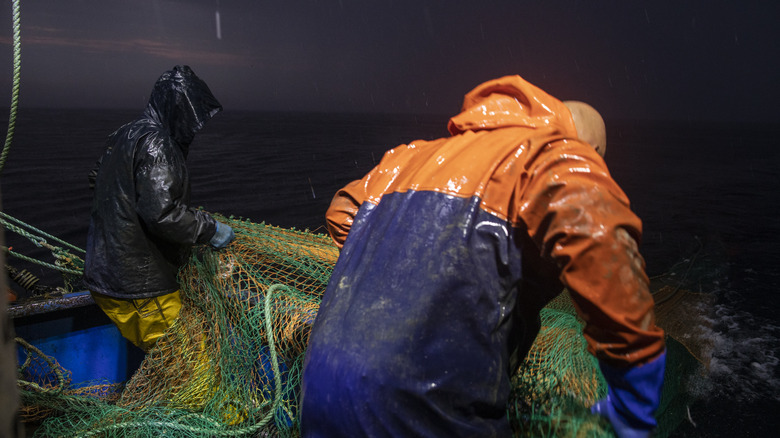 Fishermen pull nets onto boat