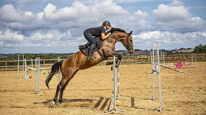 Horse jumping