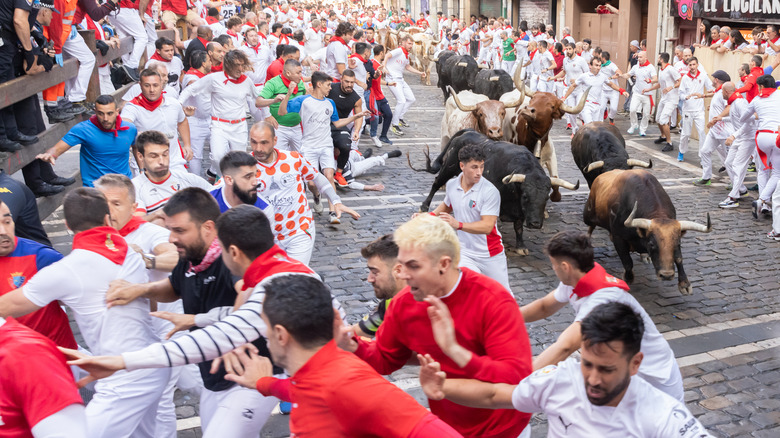 Pamplona running of the bulls 