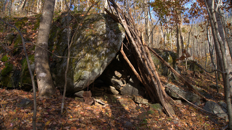 Shelter in the woods