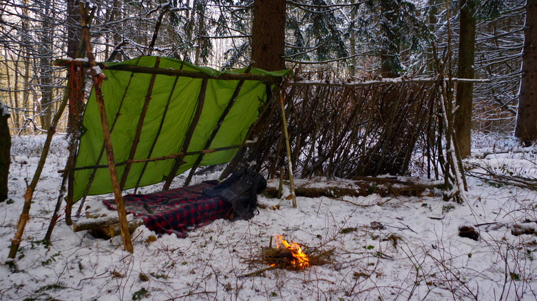 Emergency shelter in snowy woods