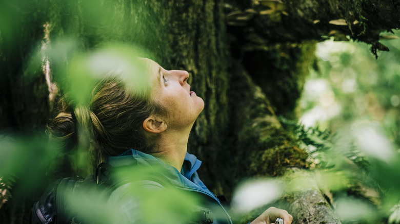 Woman looking up in woods while foraging