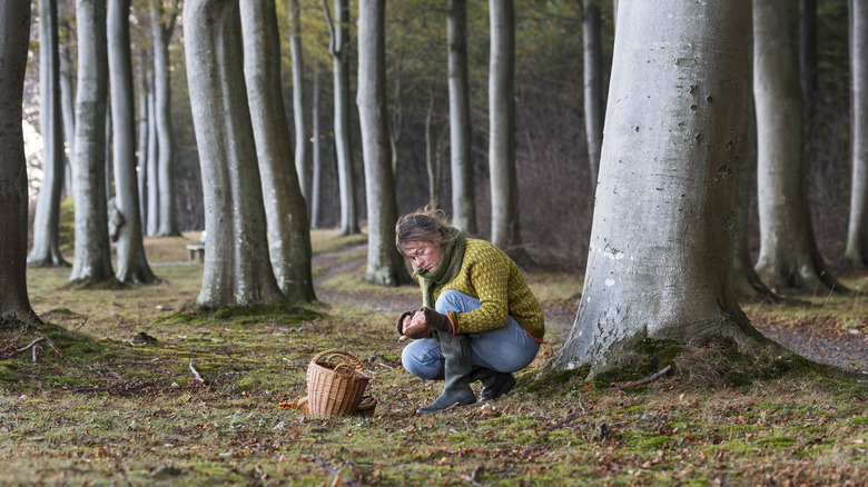 Woman kneeling and foraging in woods