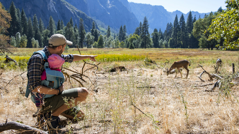 Man and baby watching deer from distance