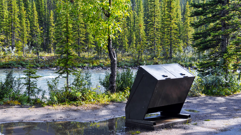 Bear-proof trash can in woods