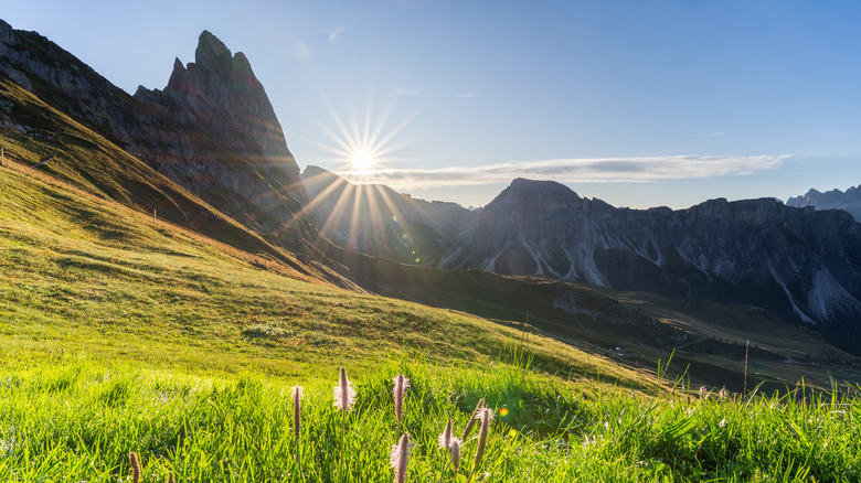 Mountain peaks, sun, summer, wilflowers