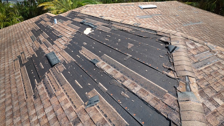 Wind damaged roof with shingles removed 