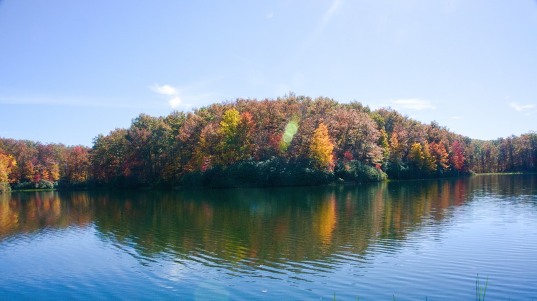 West Virginia lake and trees in autumn