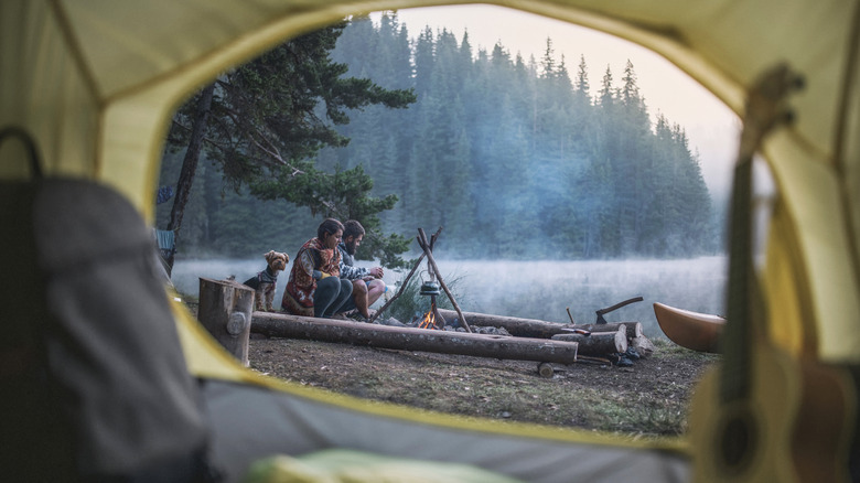 View of campers and dog by campfire from inside tent