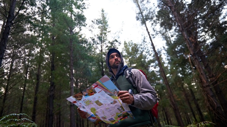 Hiker with map in woods