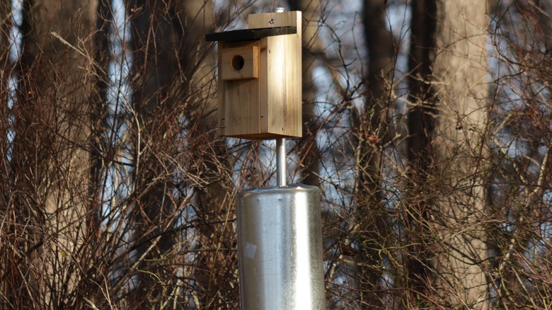 bird box with baffle