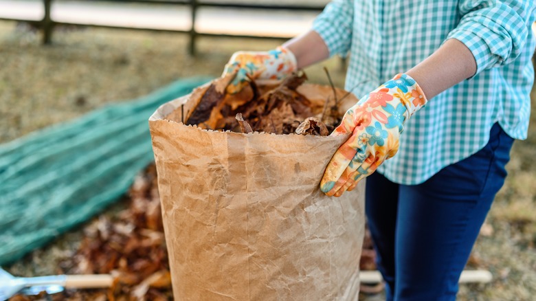 Hands on a bag of fall leaves