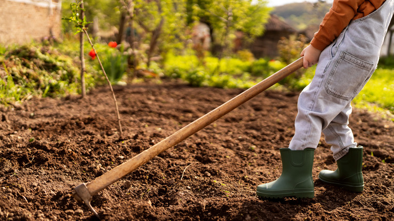 Young kid gardening