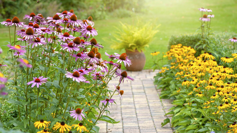 Perennial flower garden