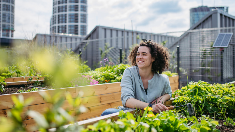 Woman tending a raised bed roof garden