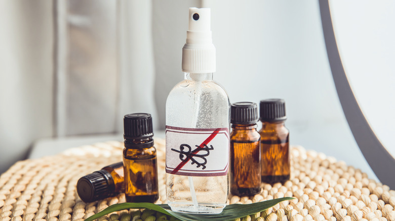 Bottles of essential oil with insect repellent spray