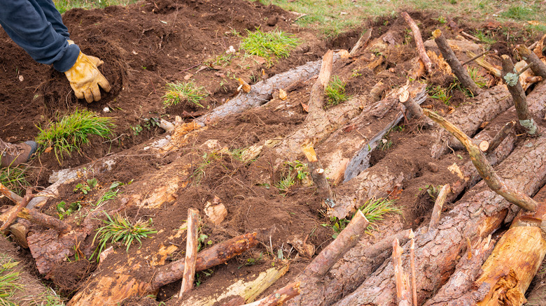 Logs and branches being layered in hügelkultur garden bed