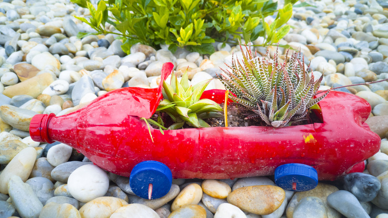Plastic bottle made into red car planter for succulents