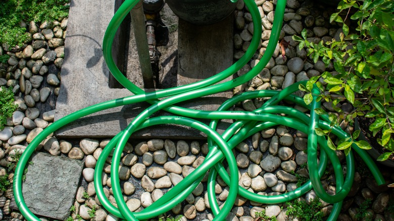 Garden hose on ground