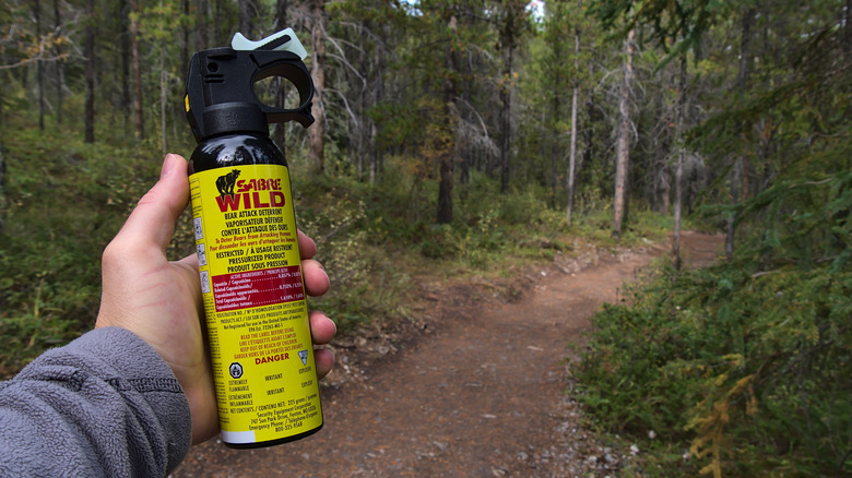 Hand holding bear spray in woods