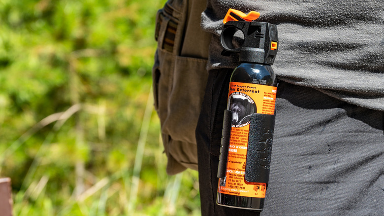 Bear spray hooked on pants